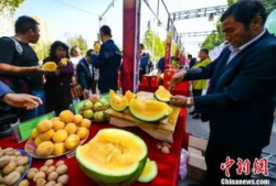 新疆吃瓜最新爆料新闻,揭秘背后真相与争议