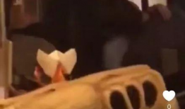 吃瓜爆料李诞,娱乐圈幕后真相大揭秘