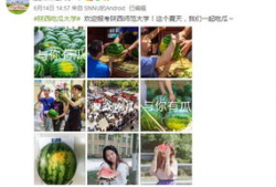 最新吃瓜爆料学院,最新热门事件幕后真相大曝光