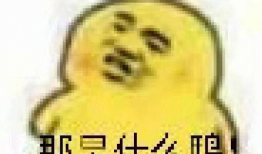 吃瓜爆料表情包,揭秘网络热传背后的趣味与真相